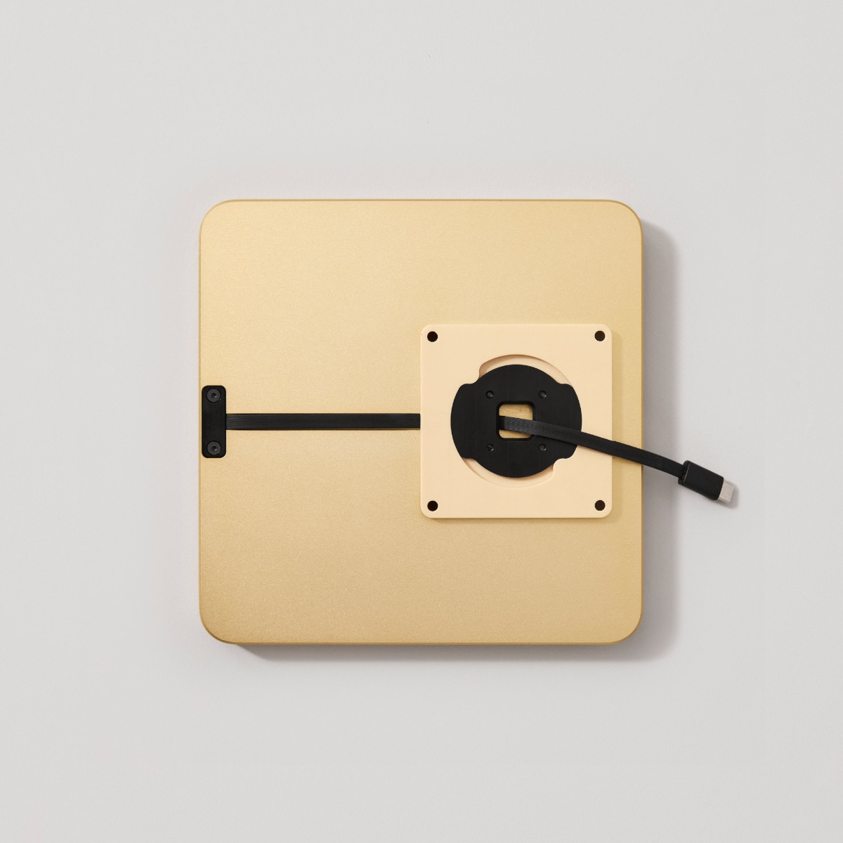 Dame Wall Home 2.0 pour iPad Pro 11 pouces (2024)